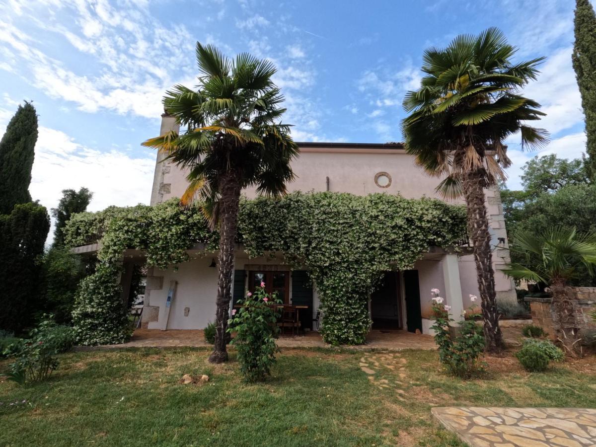 Villa Micheline Kosinozici
