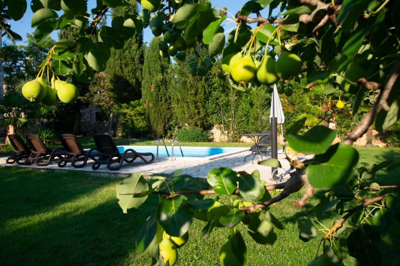 Villa Micheline